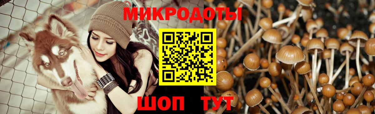 Галлюциногенные грибы MAGIC MUSHROOMS Тольятти